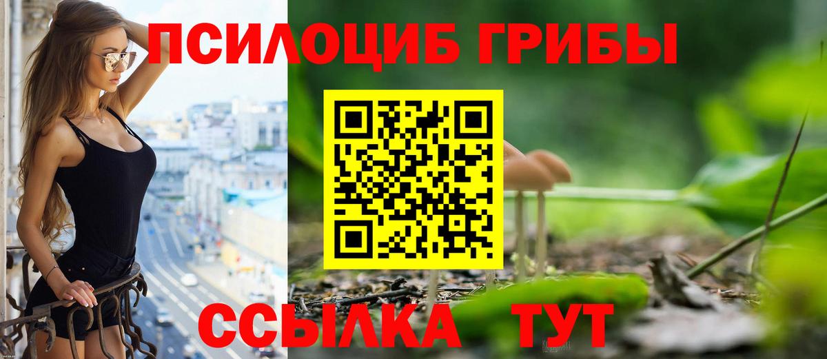 Галлюциногенные грибы Psilocybe  Вход с VPN  Лениногорск 